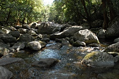 0998 Mossman Gorge